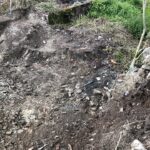 Japanese Knotweed Excavated Area Bristol, Somerset