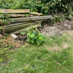 Japanese Knotweed Surveys Removal Lyme Regis, Poole, Dorset
