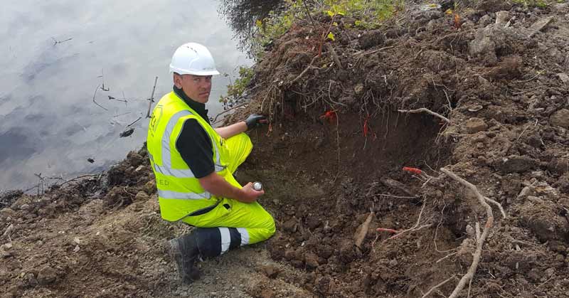 Japanese knotweed treatment plans