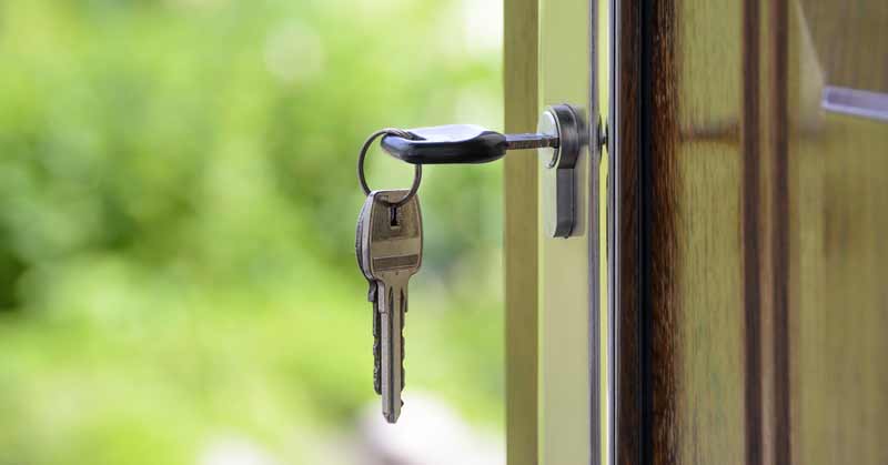 Japanese knotweed mortgage reports