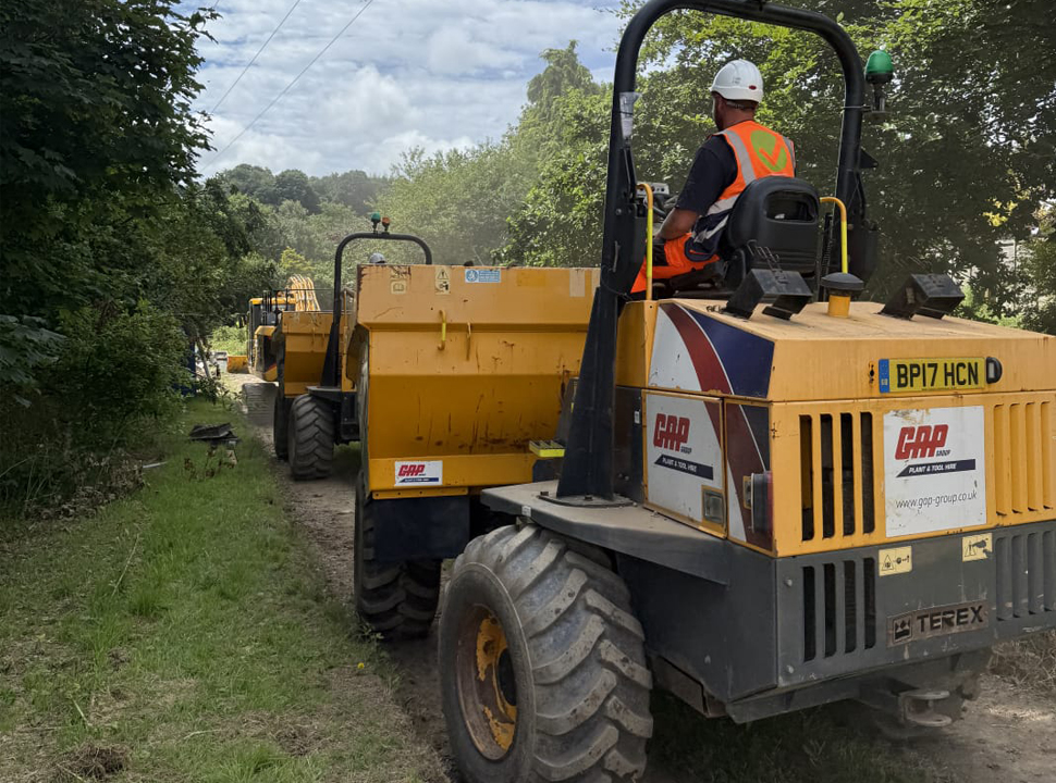 japanese knotweed removal